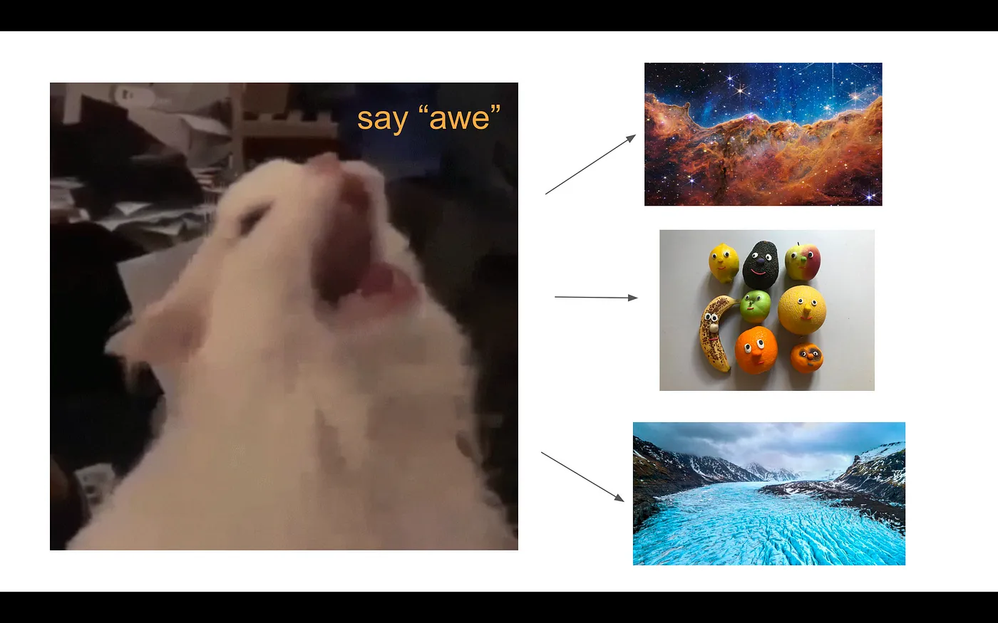 A cat meme about the different definitions of Awe