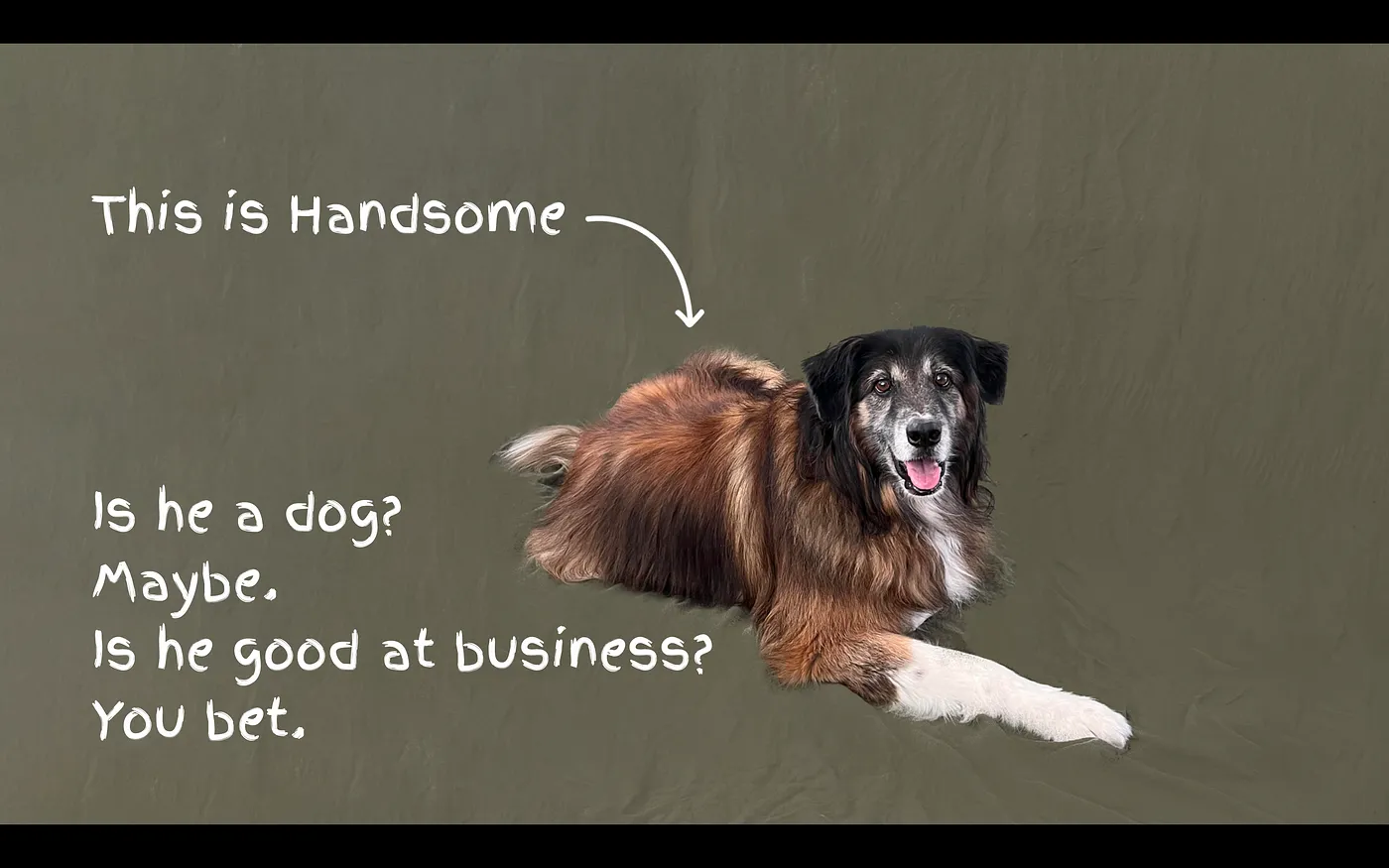 A meme about a dog who is good at business.